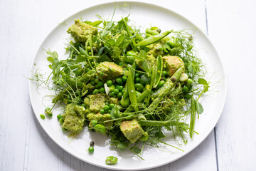 Pea shoots and broad beans panzanella