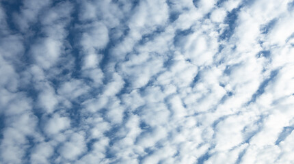Fototapeta na wymiar white fluffy clouds in the blue sky .blue sky background with tiny clouds