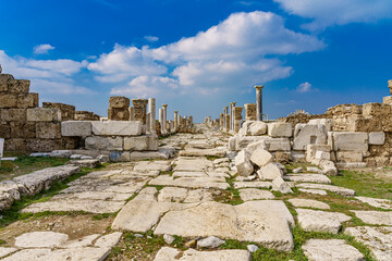 roman architecture columns