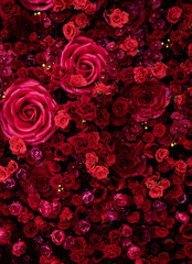 Red roses texture background.
