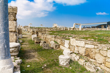 roman architecture columns