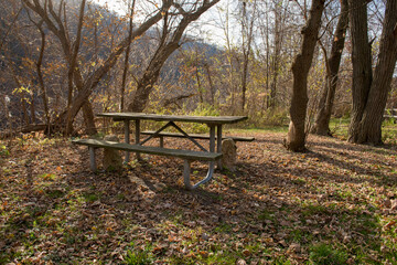 Fototapeta premium Picnic table in the middle of the forest