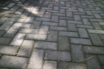 paving brick road under a shady tree