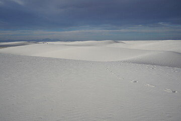 ニューメキシコ州　ホワイトサンズ国定公園　砂漠の様子