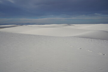ニューメキシコ州　ホワイトサンズ国定公園　砂漠の様子
