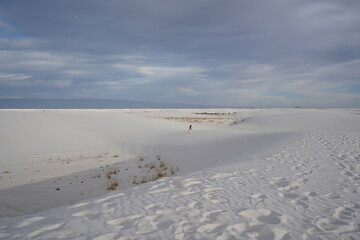 ニューメキシコ州　ホワイトサンズ　砂漠と青空