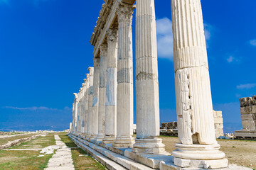 roman architecture columns