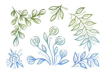 Set flower and leave. Provence illustration. Green and blue floral elements