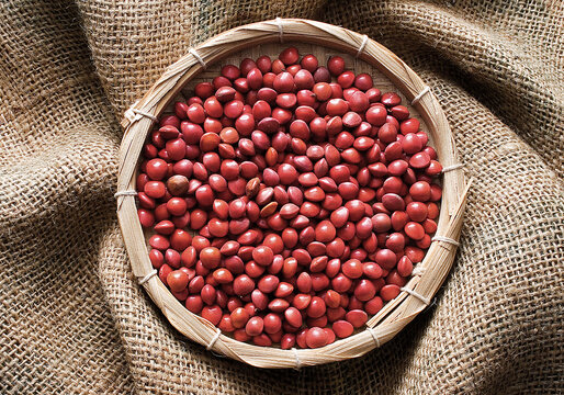 peacock eye seed
The Seeds are extracted from a tree called &ldquo;olho de pav&atilde;o&rdquo; (the peacock's eye) also known as &ldquo;Pau Brazil&rdquo; and are used in necklaces and bracelets in Brazil.