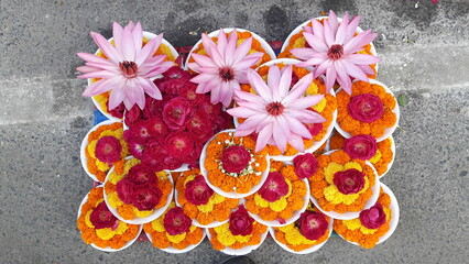close up of pink lotus flower
