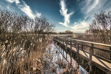 National Park Vejlerne walking paths in North West Denmark