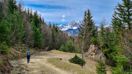 Fototapeta premium Woman with backpack and scenic view of snow capped mountain peaks of Karawanks near Sinacher Gupf in Carinthia, Austria. Mount Hochstuhl (Stol) visible through forest in spring. Rosental sunny day.Awe