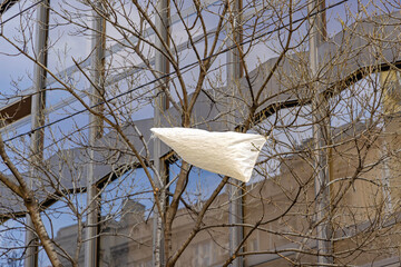 Plastic Sack Tree Environment Damage
