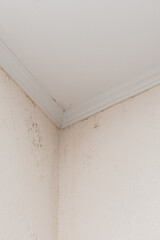 Mold mildew fungus in the corner of light wall. Household problems concept