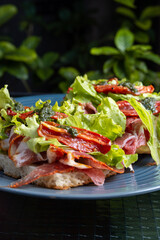 brusqueta de hojas verdes tomates y jamon crudo