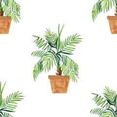 Watercolor palm in pot seamless pattern on white background. Hand drawing kentia or parlor plant illustration. Perfect for wallpaper, textile, print.