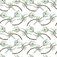 Obraz premium Watercolor branch of the pine seamless pattern on a white background. Hand drawing illustration. Twig element for design.