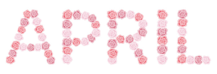 Word month April, red and pink rose font on white background