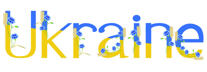 Word Ukraine with flowers of cornflowers and spikelets of wheat on a white background.