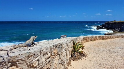 beach and sea in island