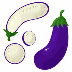 Eggplant set isolated on white background. Whole, slice, half of fresh aubergine.