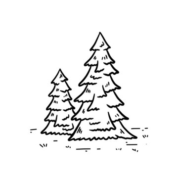 Christmas trees in forest. Two trees in engraving style. Hand drawn outline cartoon