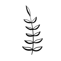 Natural plant. Abstract doodle flower.