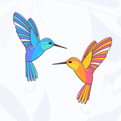 Two colorful hummingbirds in flight. Vector illustration. 