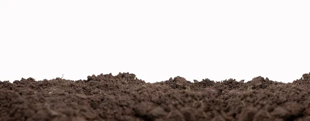 Foto op Canvas fertile soil or isolated mound of soil on a white background. © Arthon
