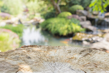 tree stump top with garden blurred background