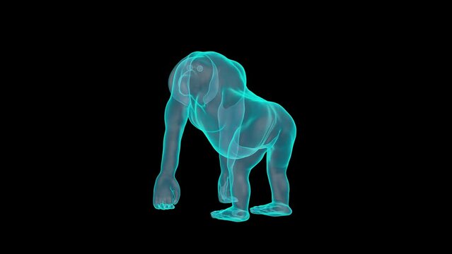 A Gorilla Holograph turntable render