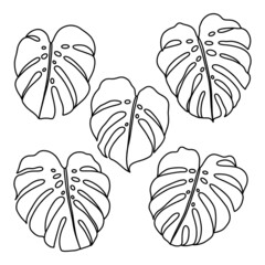 Outlined monstera leaves vector clip art © Stolenpencil