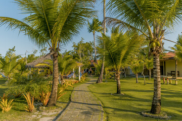 Lindo jardim com muitos coqueiros e um caminho gramado, em um restaurante que fica no meio de uma ilha com muita mata e céu azul em Coroa Vermelha, Bahia