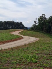 Dirt road path in the field