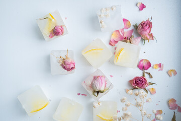 Ice cubes with flowers and lemon inside on a white background. Frozen flowers in ice. Edible flowers for decoration.