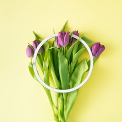 Purple tulips on a yellow background with a white circular frame. Minimal copy space flat lay concept.