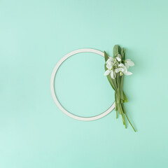 Snowdrops flowers on a white circular frame and green background. Minimal copy space flat lay.