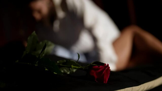 lovers in bedroom in night, man and woman are having caress and sex in bed, red rose in foreground