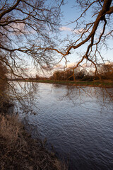 Die Ems bei Groß Hesepe im Emsland mit ein paar schönen Ästen im Vordergrund