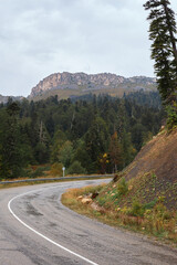 Asphalted curved road turing to right, hiding behind slope, big tall trees growing along highway, background presented with rocky mountain range on top of green hill isolated on grey cloudy sky