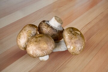 Tasty fresh row mushrooms. Wild forest mushrooms