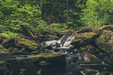 waterfall in the forest