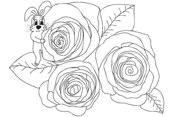 Bunny with roses outline, line art illustration with black thin contour isolated on white background. Bunny standing on bouquet of roses.