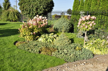 Fototapeta na wymiar Landscaping of a garden plot. Flowers and plants in landscape design. 