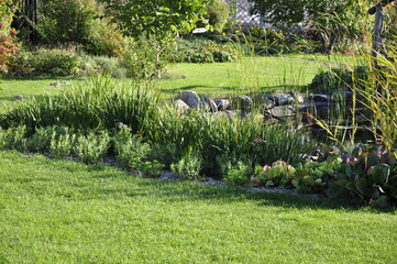 Landscaping of a garden plot. Flowers and plants in landscape design. 