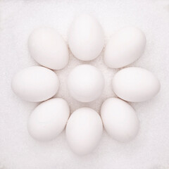 white eggs on white background