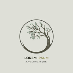 tree and leaf logo design. slopes sideways inside the circle frame 