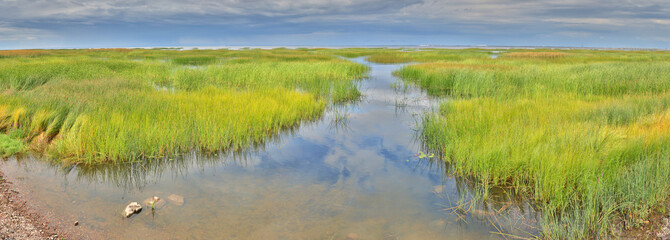 sky reflection in lake with green grass