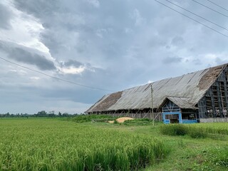 Obraz premium Traditional tobacco warehouse