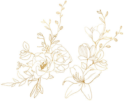 Watercolor gold linear bouquet of magnolia, rose, ranunculus, lily and lotus. Hand painted meadow flowers and leaves isolated on white background. Floral illustration for design, print or background.